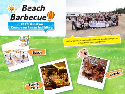 Ulasan Acara Team Building Pantai Amikon 2025 | BBQ, Permainan, dan Pesta Menyalakan Semangat Musim Panas