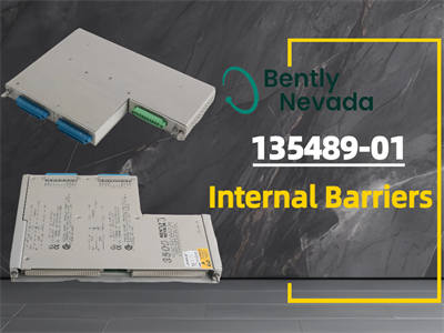 Segala yang Perlu Anda Ketahui Tentang Penghalang Internal Bently Nevada 135489-01
